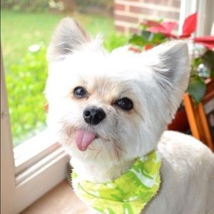 Meet your Posher, Joaquim